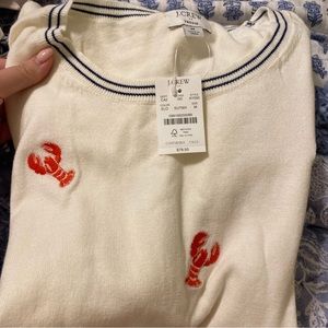 J.crew Teddie sweater NWT